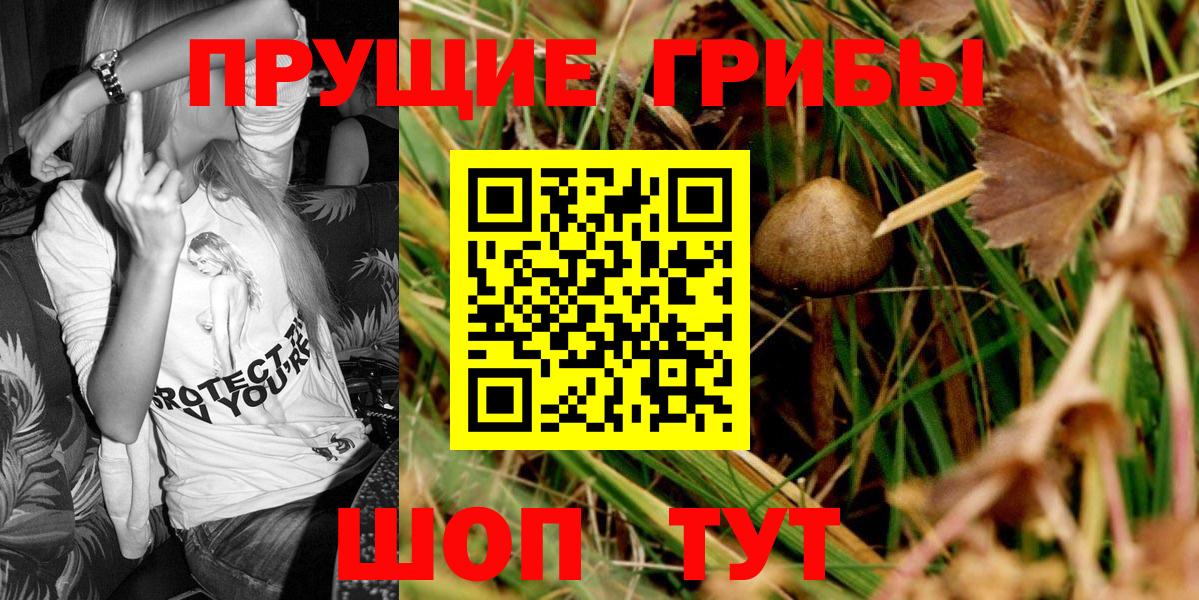 Галлюциногенные грибы MAGIC MUSHROOMS Гай