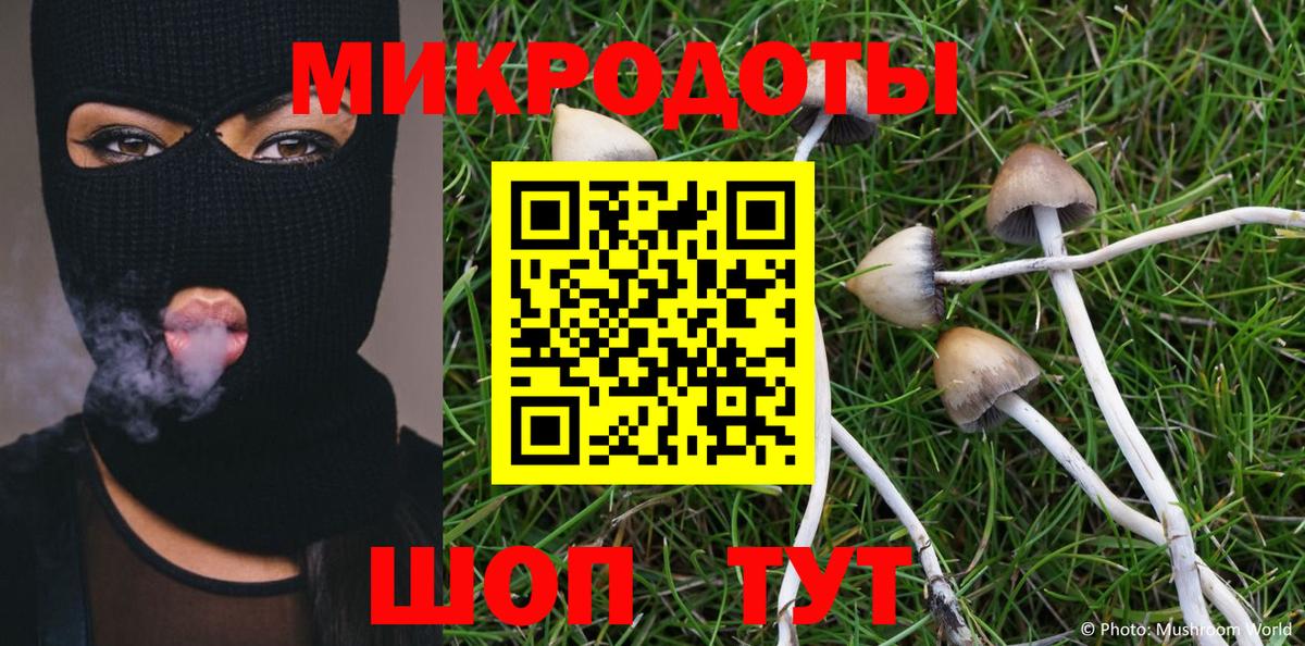 Псилоцибиновые грибы GOLDEN TEACHER  Галлюциногенные грибы Cubensis  Вход с VPN  Гай 